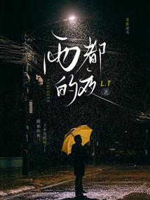 雨都的夜