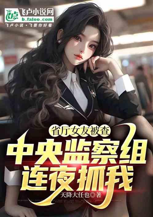 市局女友被查，督察组连夜抓我