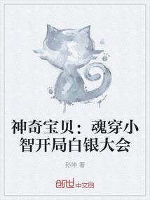 神奇宝贝：魂穿小智开局白银大会