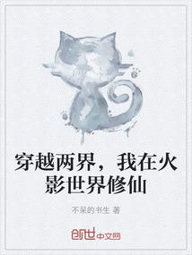 穿越两界，我在火影世界修仙