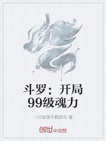 斗罗：开局99级魂力